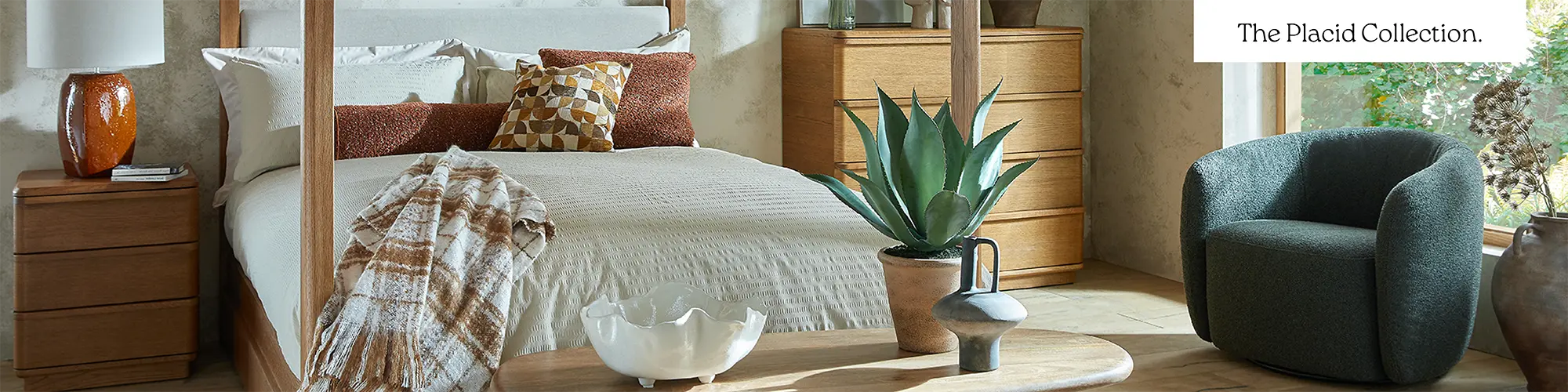 The Placid Collection Hero