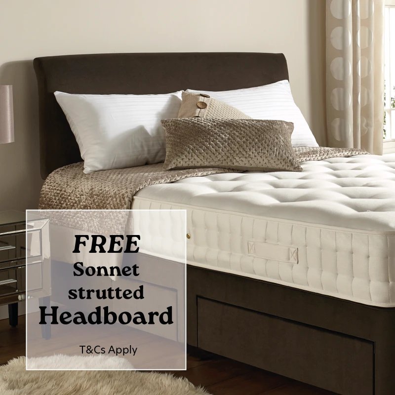 Harrison Winter25 Content Flash